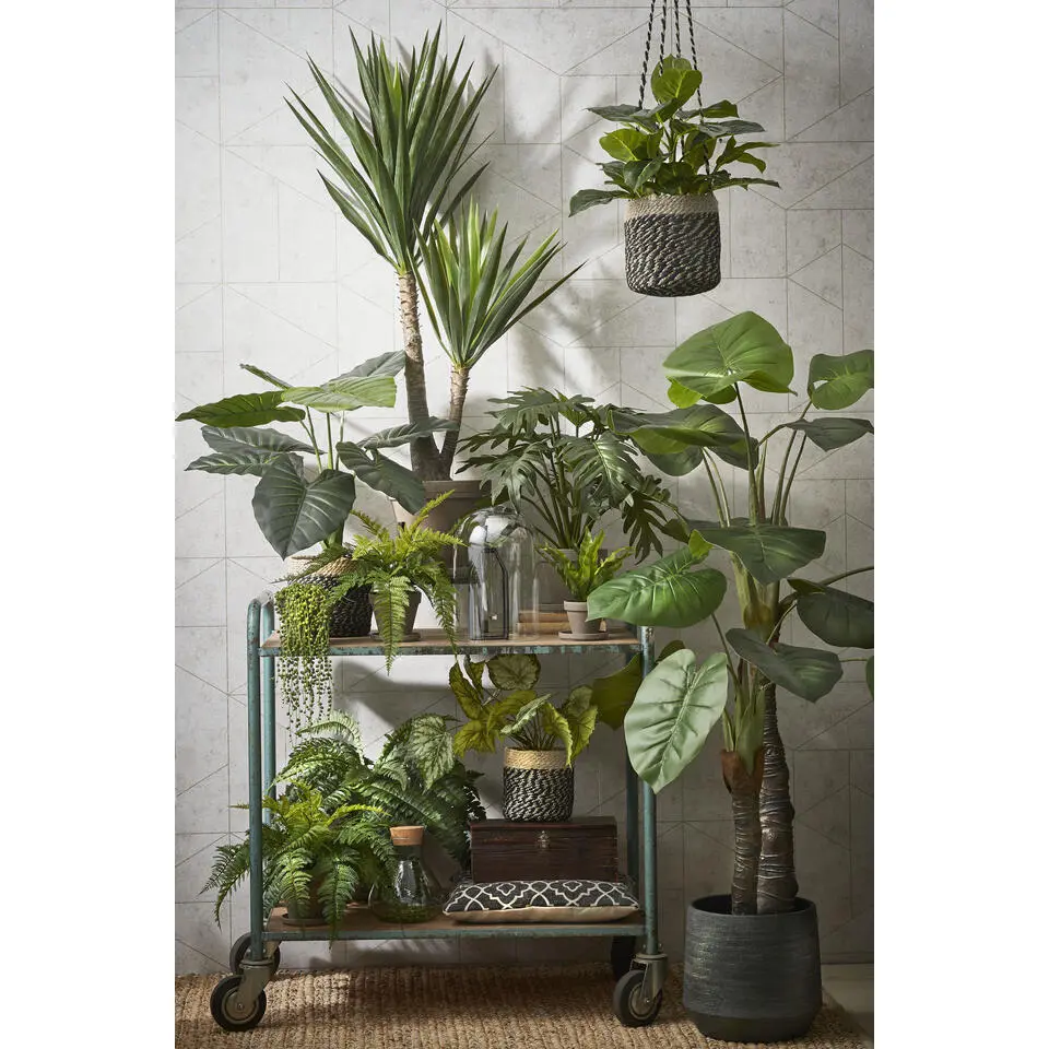 Mica Decorations Bonaparte Mand voor Planten Ø20 cm