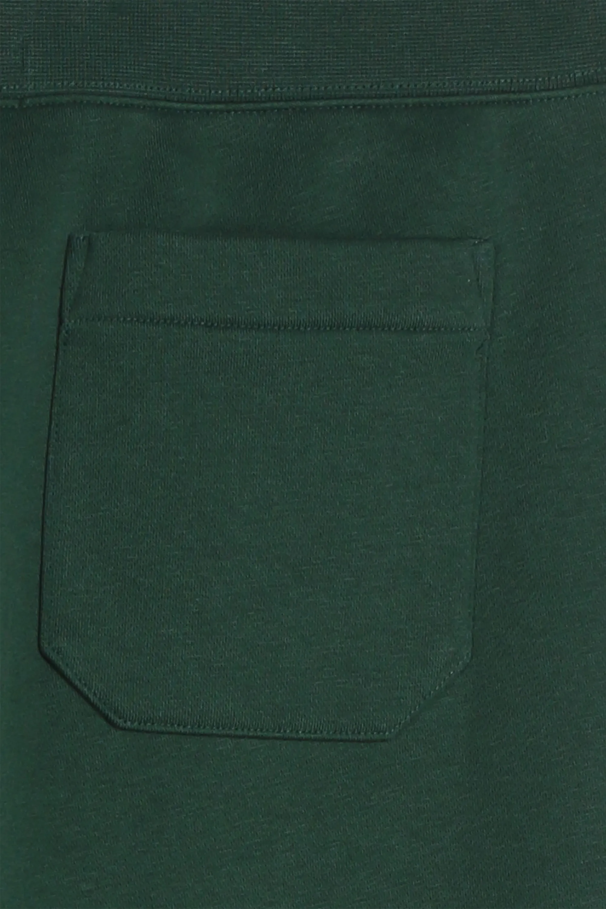 POLO RALPH LAUREN Jogging en coton mélangé Vert