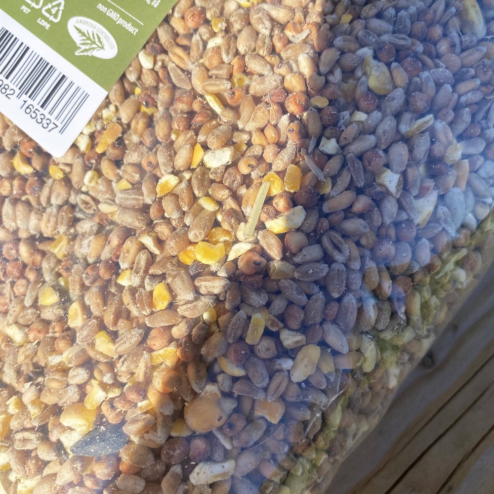 Graines pour oiseaux à saupoudrer - 2,5 kg