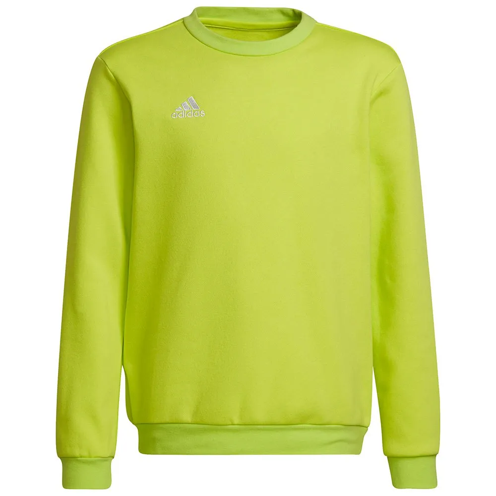 Moletom adidas Entrada 22 Stadium SW