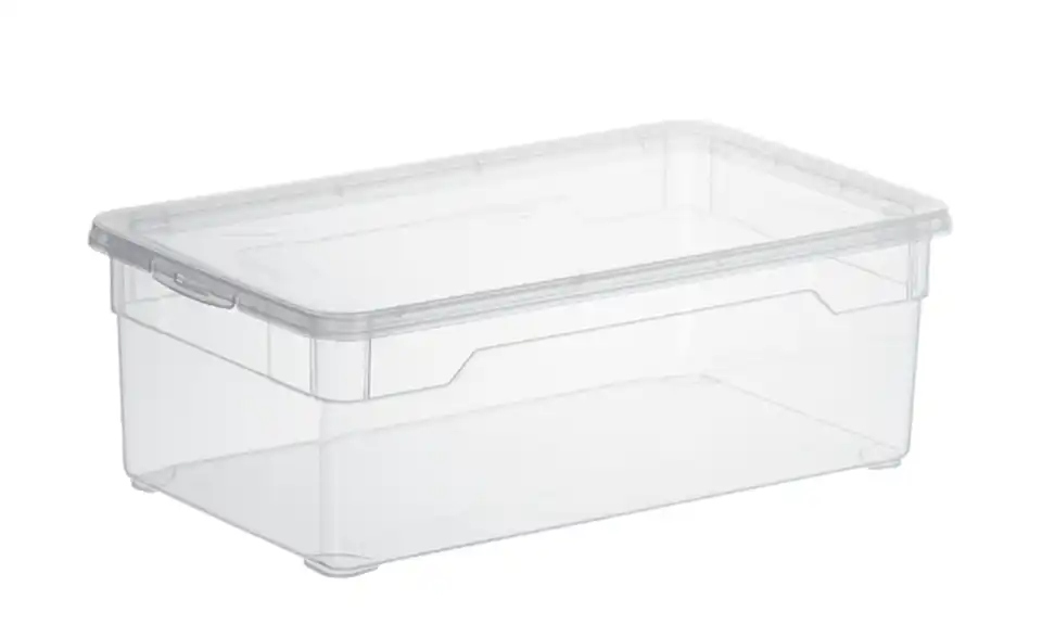 Rotho Aufbewahrungsbox mit Deckel 33 cm