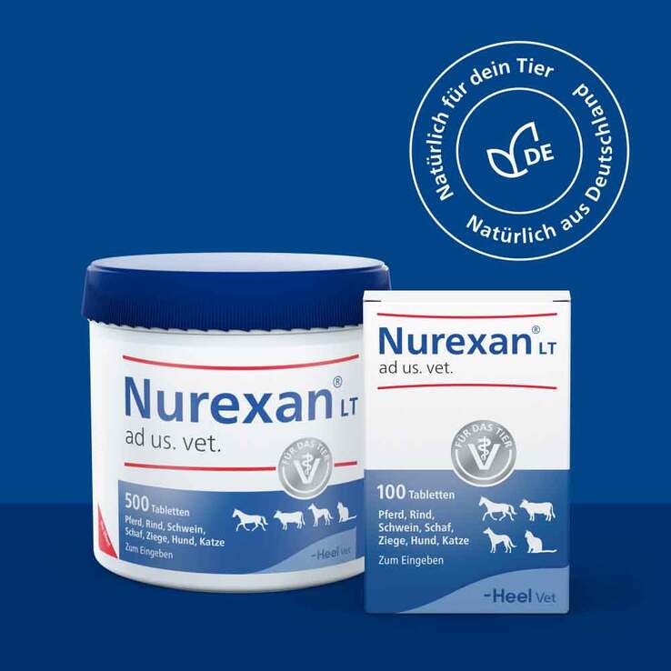 Nurexan LT ad us. vet. Tabletten, 500 St