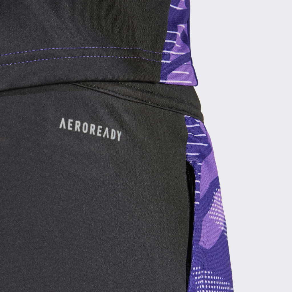 Adidas DFB TR Pant