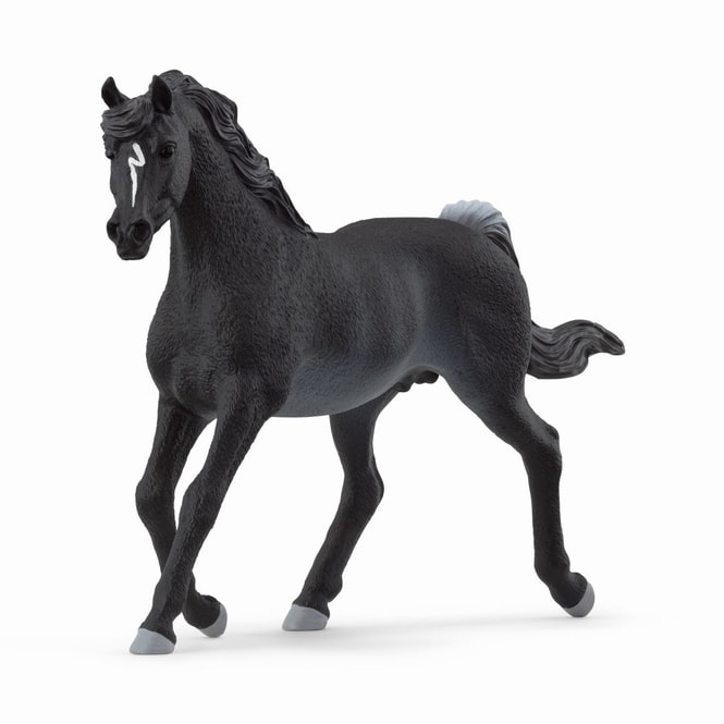 HORSE CLUB - Araber Hengst