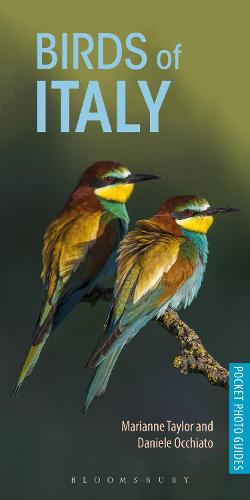 Birds of Italy - Pocket Photo Guides (Paperback)