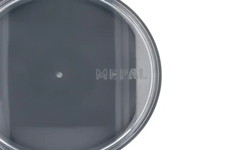 Mepal Thermo Lunch Pot 500+200 ml Ellipse