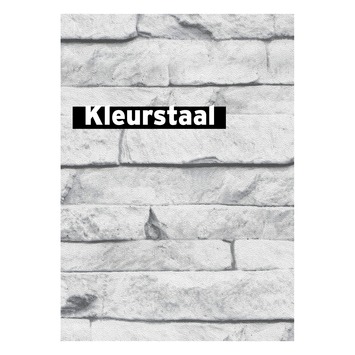 Behangstaal vliesbehang Odyssee wit 101343