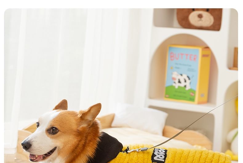 Cissilli - Chenille Pet Top met letters en capuchon