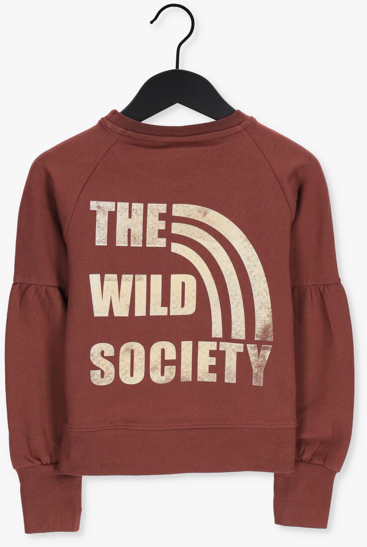 INDIAN BLUE JEANS roest indian blue jeans trui crewneck wild society
