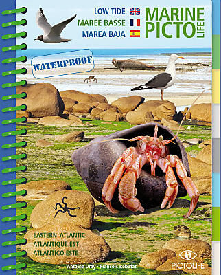 PICTOLIFE - PICTO MAREE BASSE ATLANTIQUE