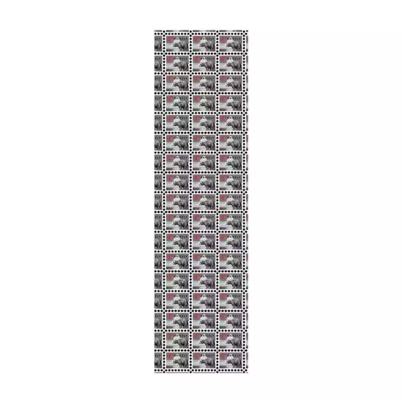 Grip skate GRIZZLY You Got Mail Gris