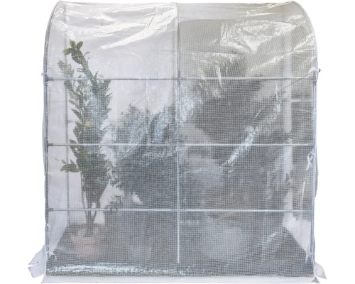 Vorstbeschermingstent/overwinteringstent Videx ICELAND 200x80x215 cm transparant
