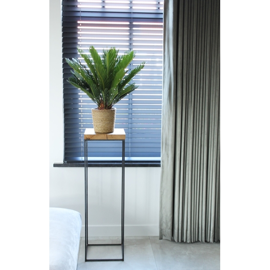 Palmier, Cycas Revoluta - pot D14cm