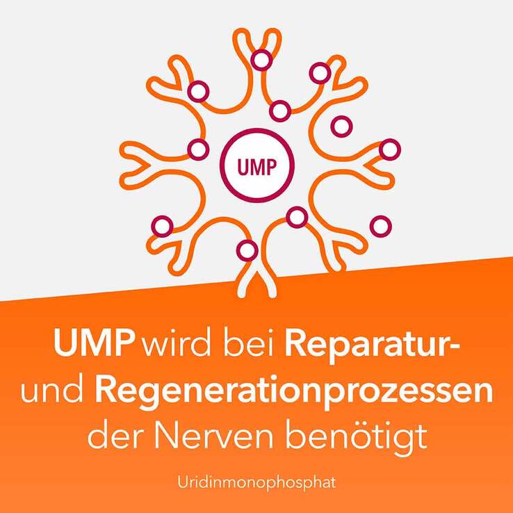 Neuropax-ratiopharm forte Kapseln, 40 St