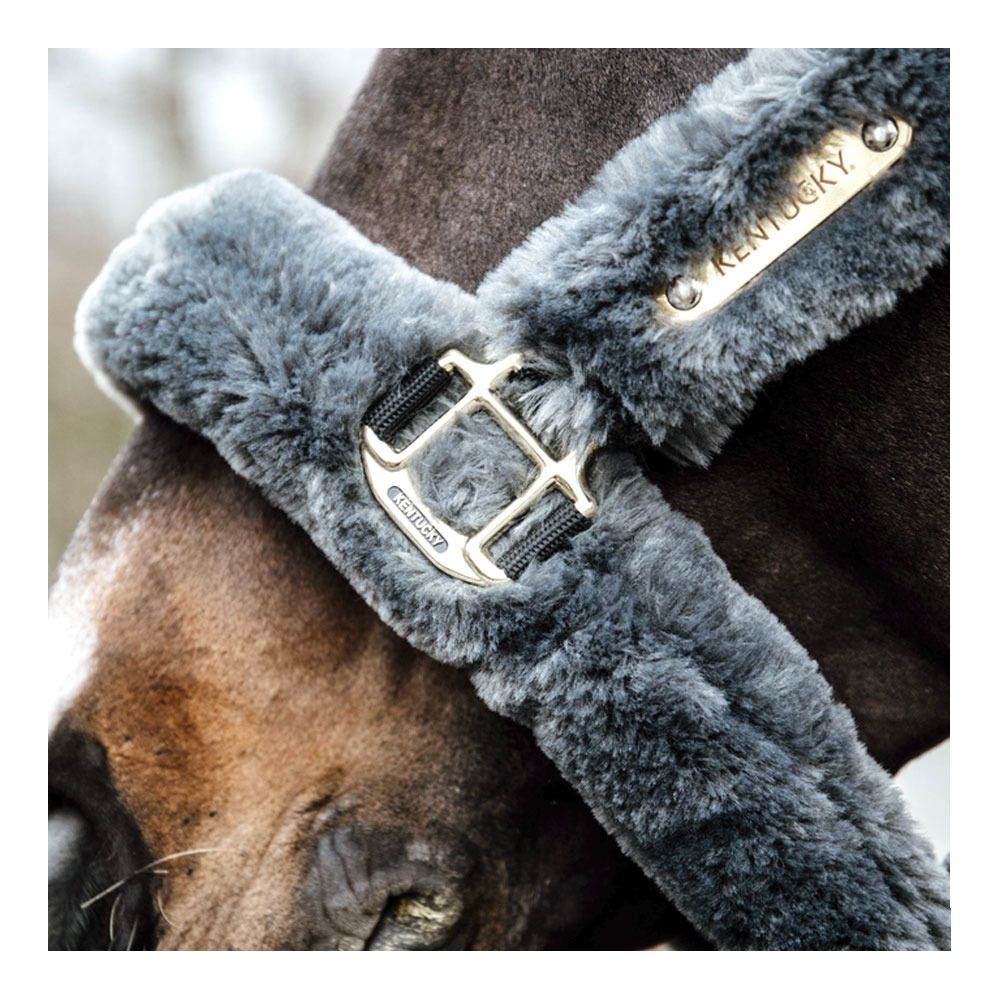 Kentucky NYLON MOUTON - Licol grey