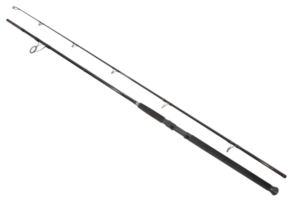 Ensemble Silure Ultimate Catfish Spin Combo 2.70m (50-200g)