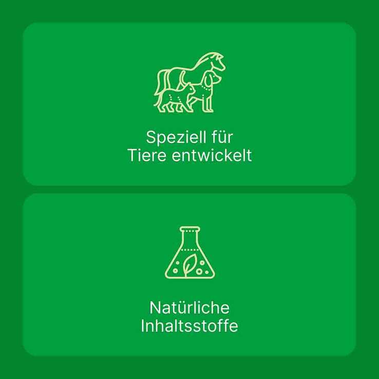 Zeel Ampullen vet. (für Tiere), 5X5 ml
