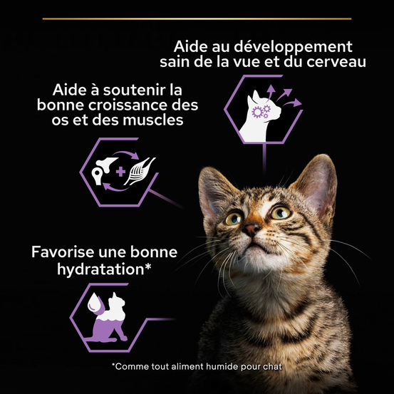 Terrine Healthy start dinde - chat junior 10x75g
