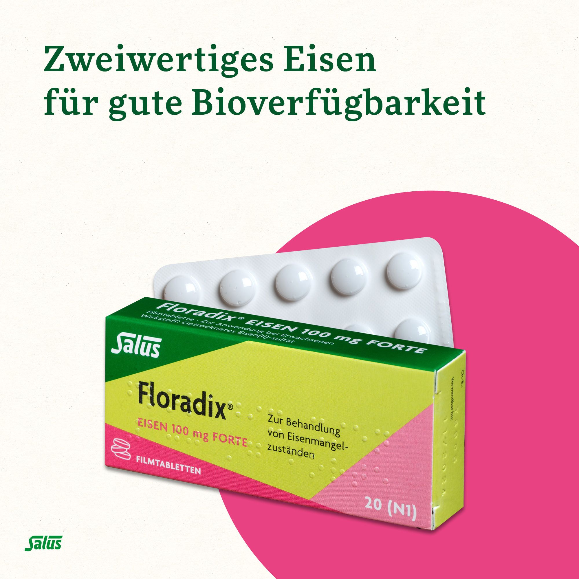 Floradix® Eisen 100 mg Forte