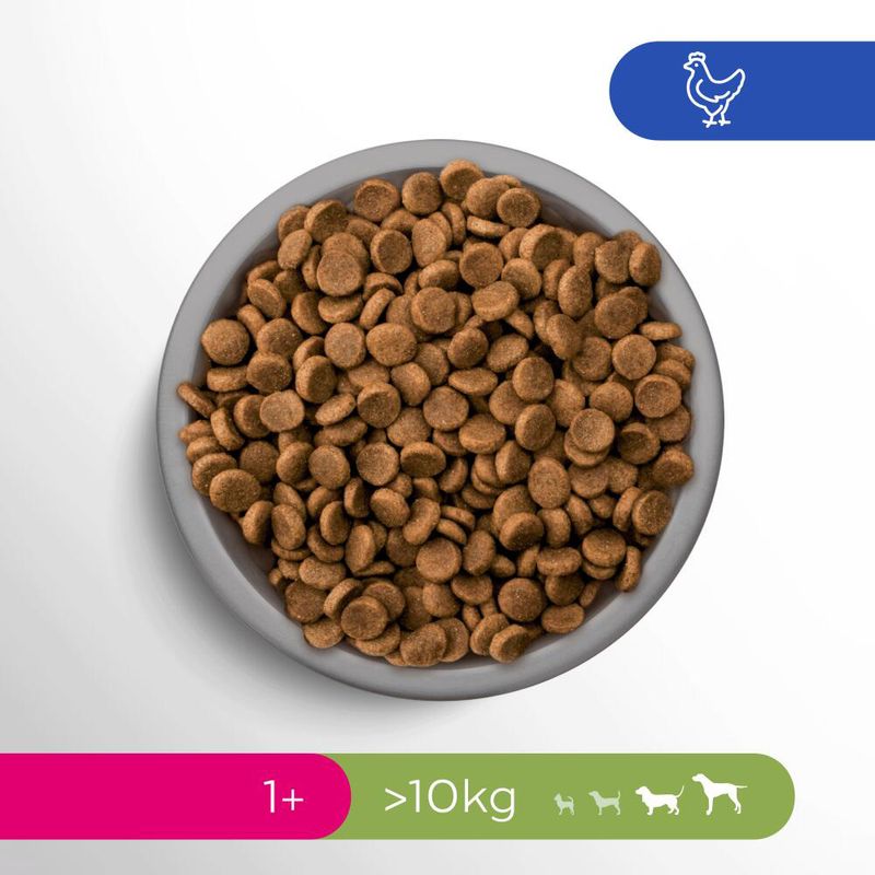 PERFECT FIT Adult > 10 kg