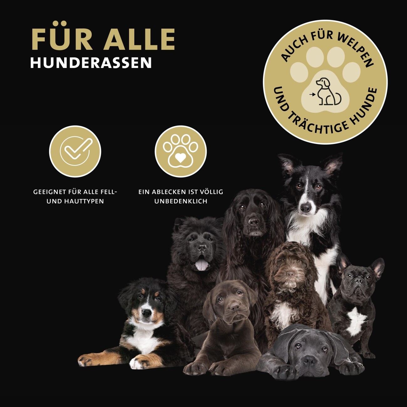 Peticare natürlicher Pfoten-Balsam für Hunde, pflegt verhärtete, trockene Pfoten
