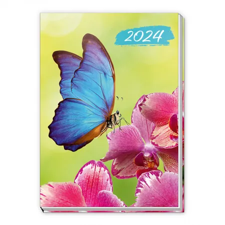 Trötsch Taschenkalender Schmetterling A7, 2024
