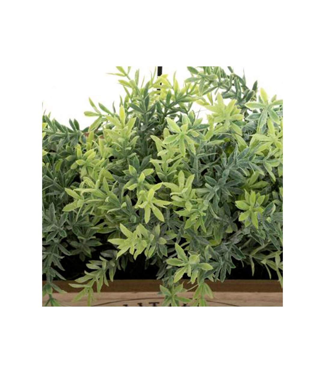 Jardinière en Bois Green House 35cm Naturel