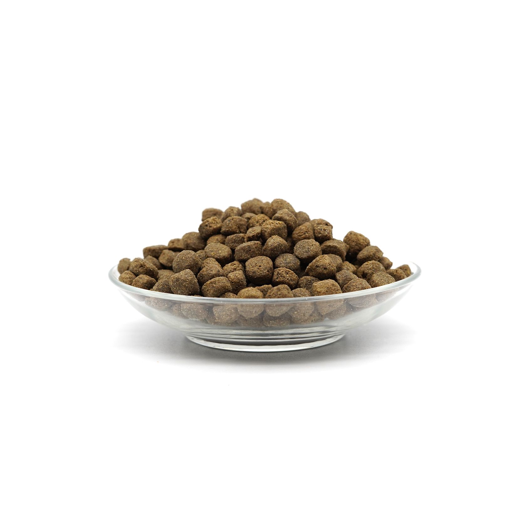 Sparset von Bellfor für mittelgroße Hunde mit Leishmaniose