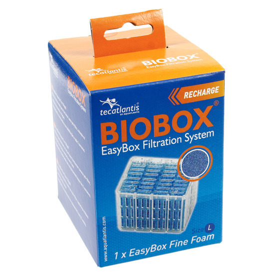 Easybox mousse fine l : plastique mousse l.7 x l.8,2 x h.10 cm