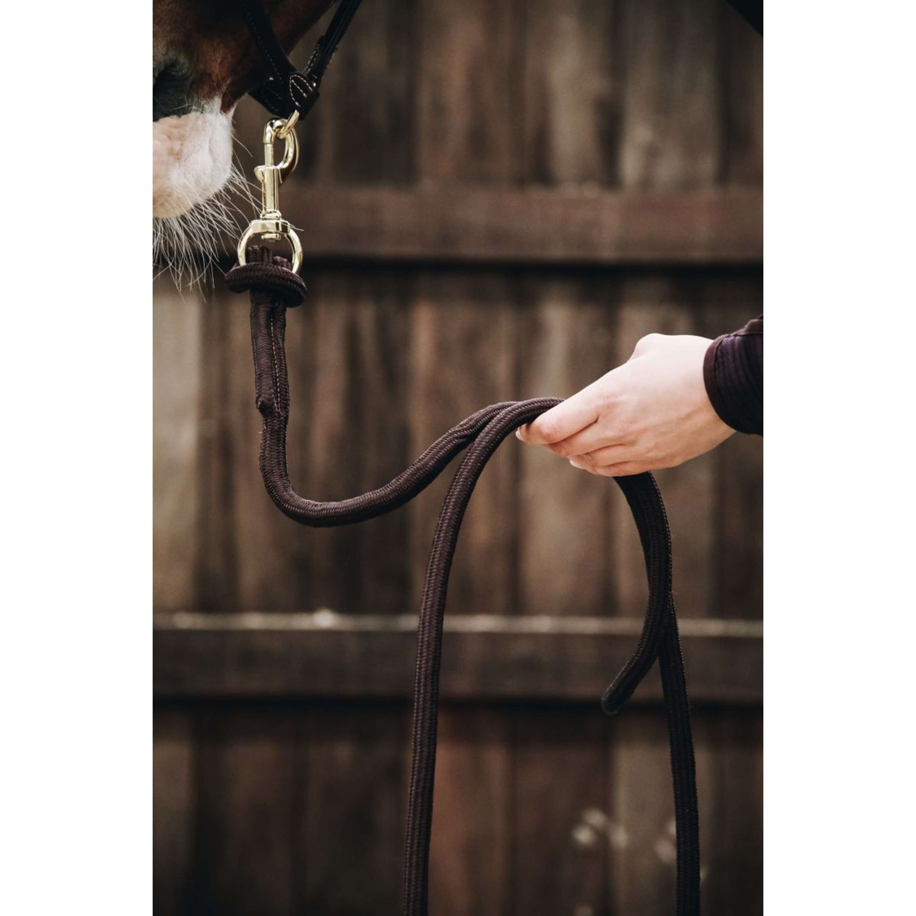 Kentucky Halstertouw Loop Brown