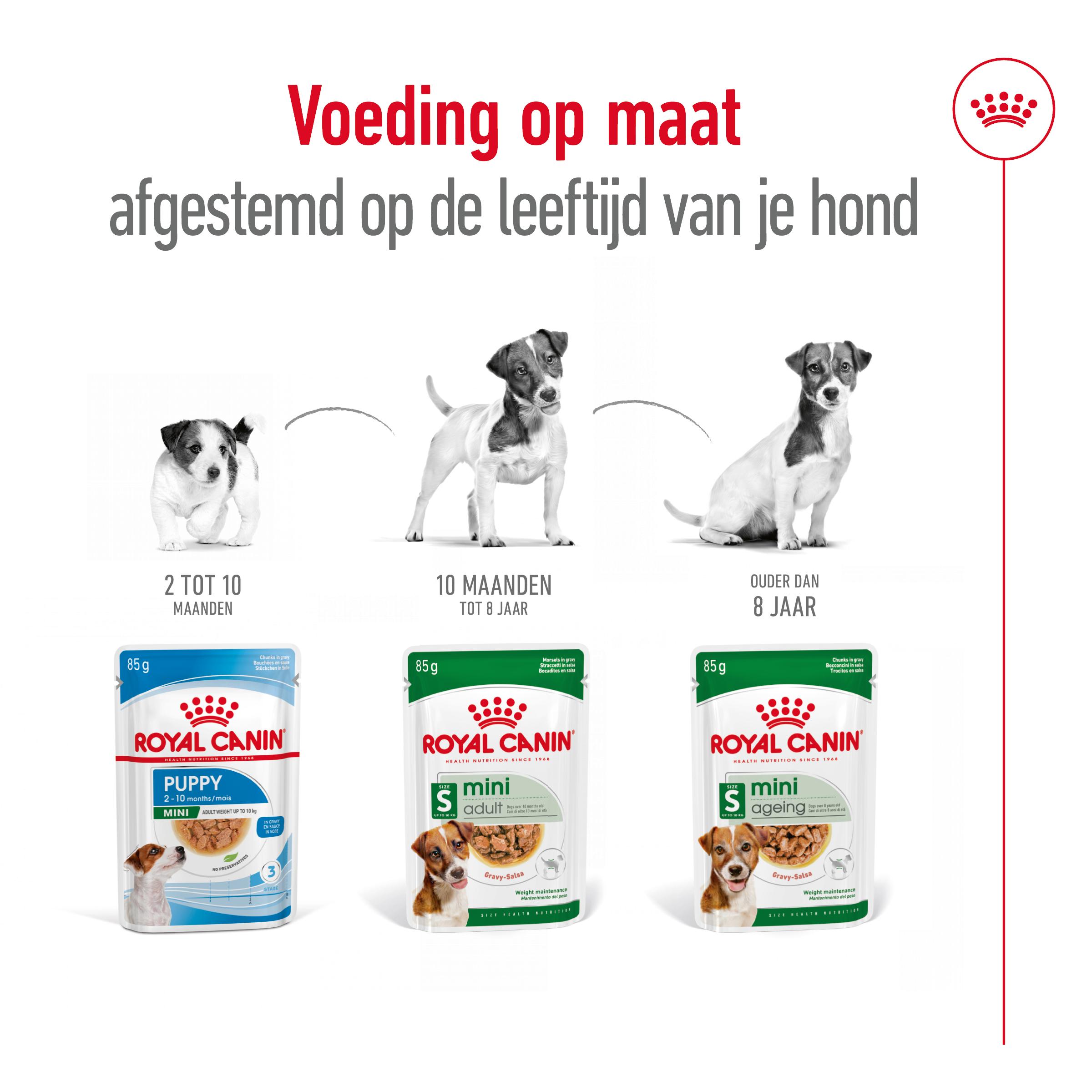 Royal Canin Mini Adult Wet - Hondenvoer