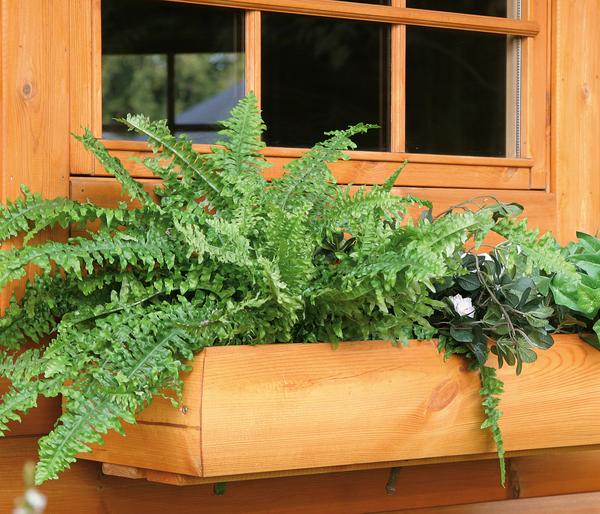 Wolff Finnhaus Blumenkasten Modell 80 Kota