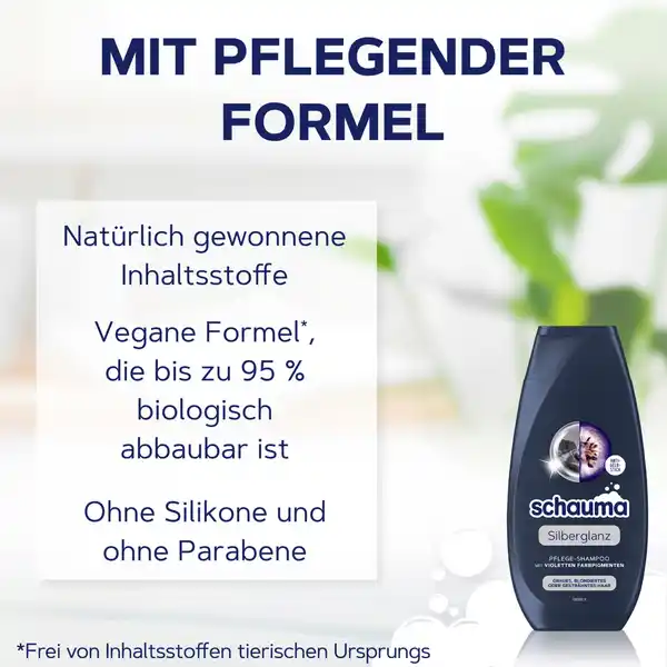 Silberglanz Shampoo