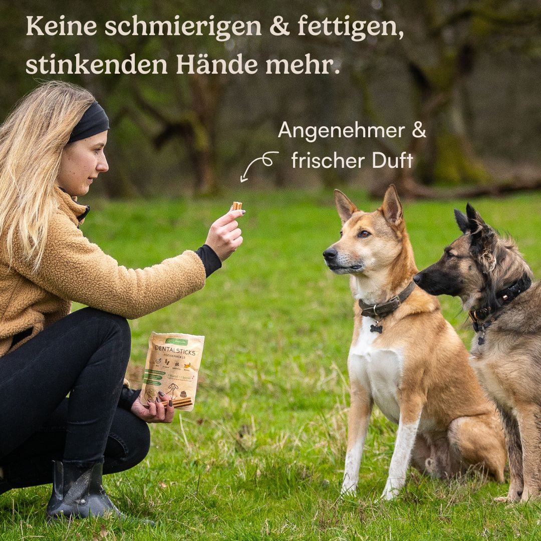 Hunderunde Dentals Traumfänger