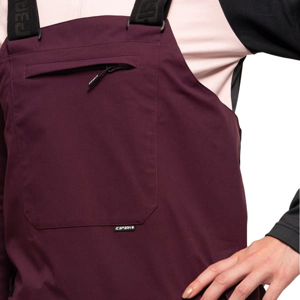 Pantalon de ski ICEPEAK PANT CANTRALL PRUNE