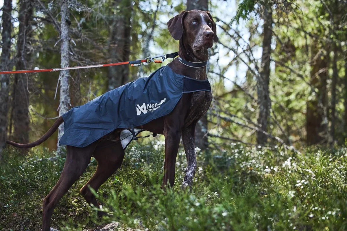 Non-stop Dogwear Trail Light Dog Jacket Grey