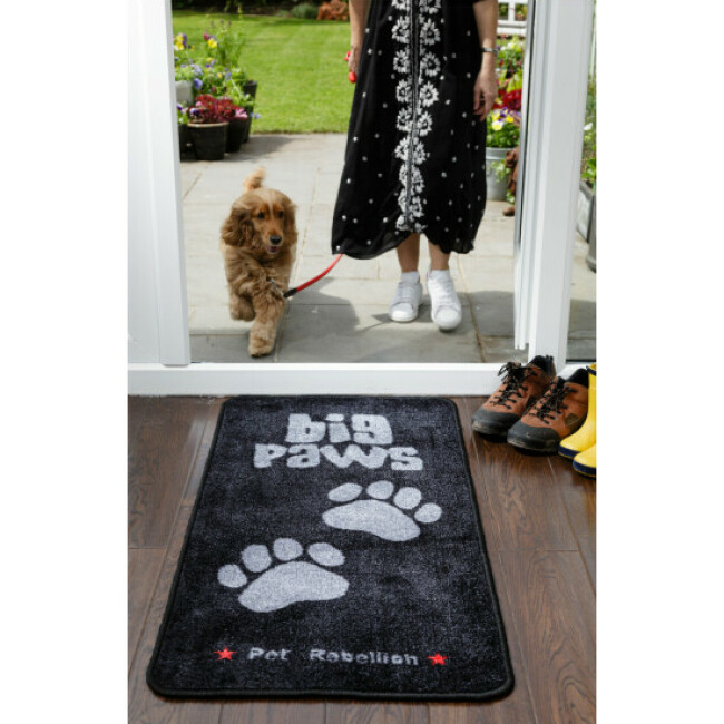 Tapis Stop Muddy Big Paws absorbant Pet Rebellion