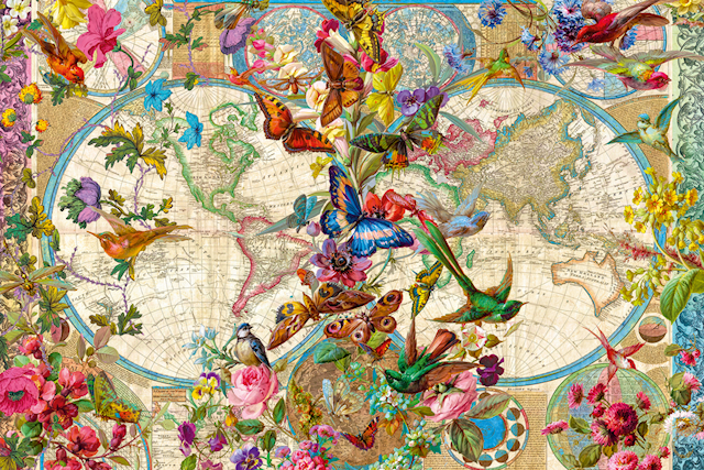 Flora & Fauna Verdenskart Puslespill 3000 brikker Ravensburger