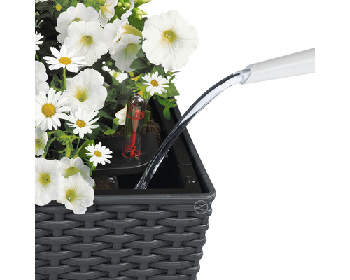 Lechuza Balconera Cottage plantenbak, kunststof, 80x19x19 cm, wit, inclusief zelfbewateringssysteem
