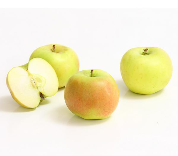 Säulenapfel 'Rhapsodie'