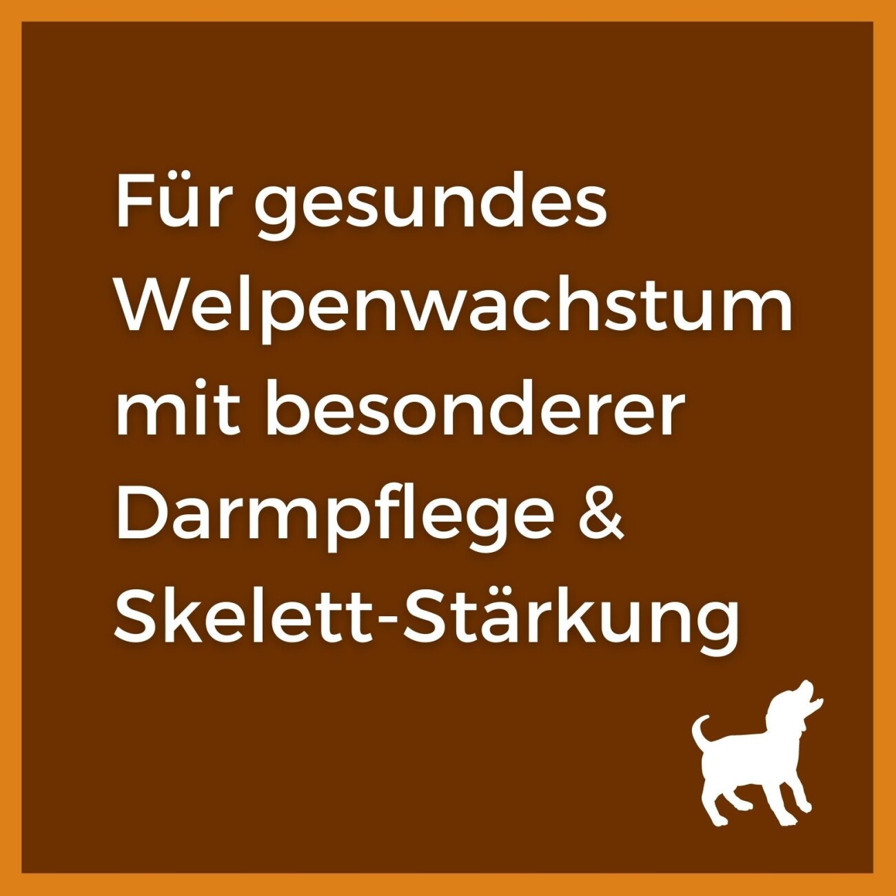 Balloony.pet German Shephy Welpenfutter Truthahn 3 kg