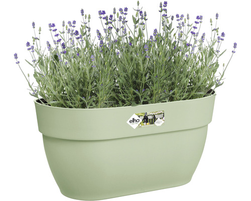Hangpot elho Vibia Campana kunststof 36 x 24,1 x 26,5 cm pistachegroen