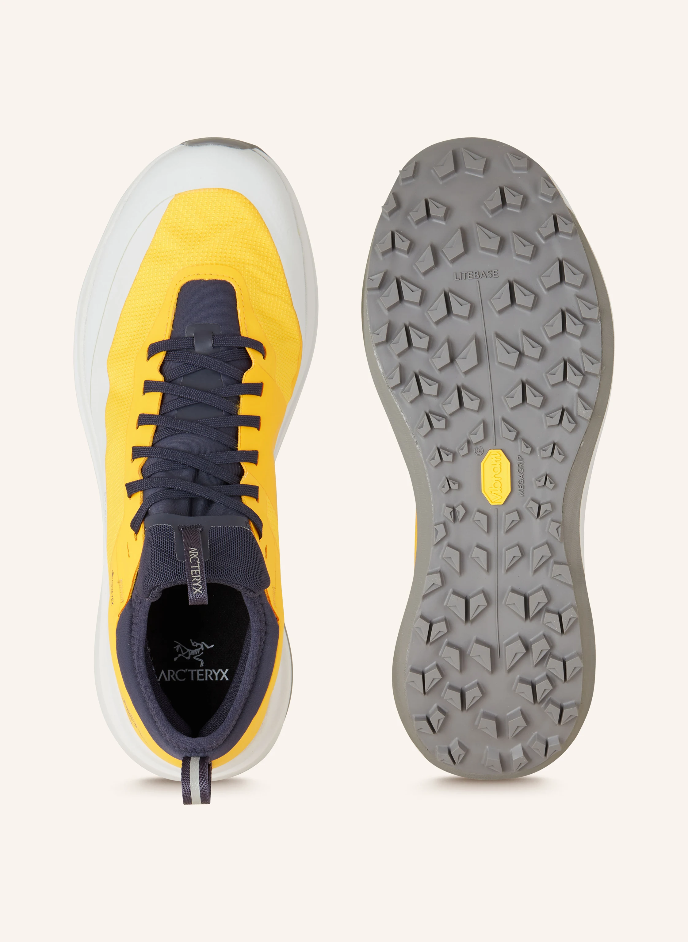 ARC'TERYX Trekkingschuhe SYLAN GTX