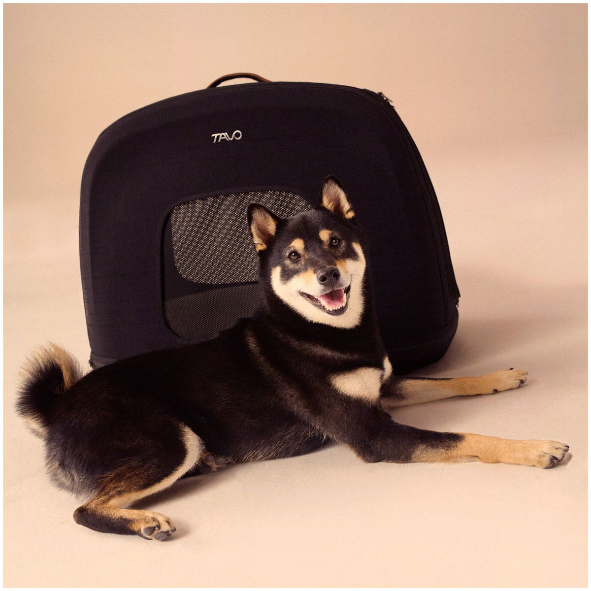 Tavo PetsTavo Pets   Crispin Transportbox onyx Large