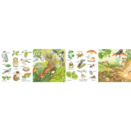 Carlsen Verlag Mein kleines buntes Bildwörterbuch: Im Wald