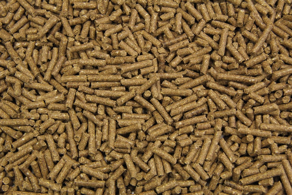 Subli Basisbrok - Basisvoeding - Paardenvoer - 20 Kilogram - Zak
