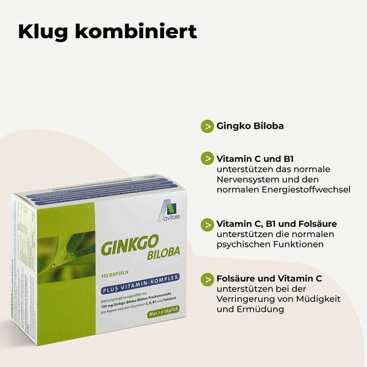 Ginkgo 100 mg Kapseln + B1 + C + E, 192 St