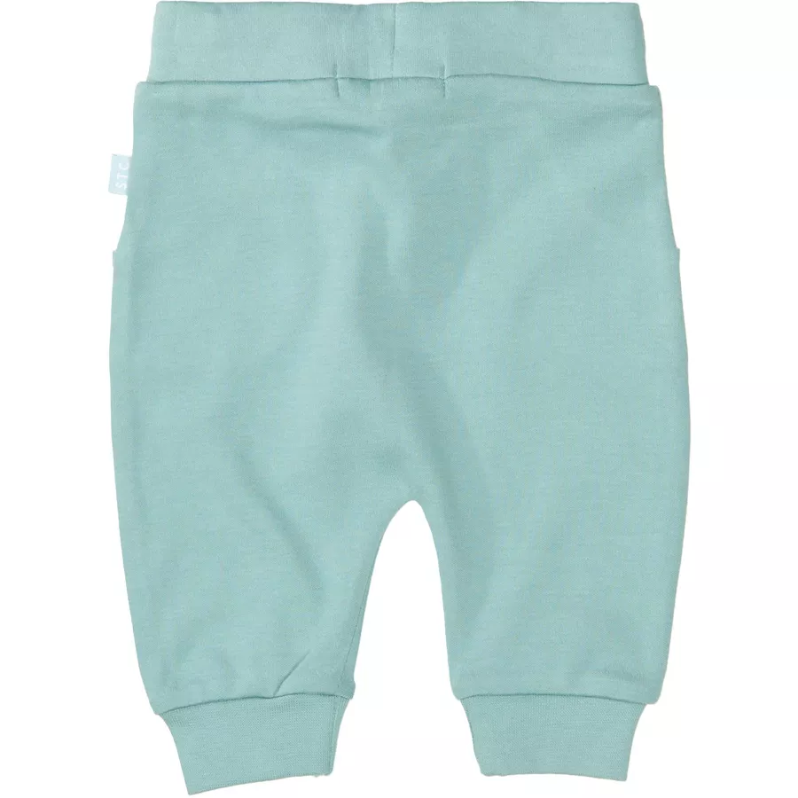 Staccato Hose dark pastel mint