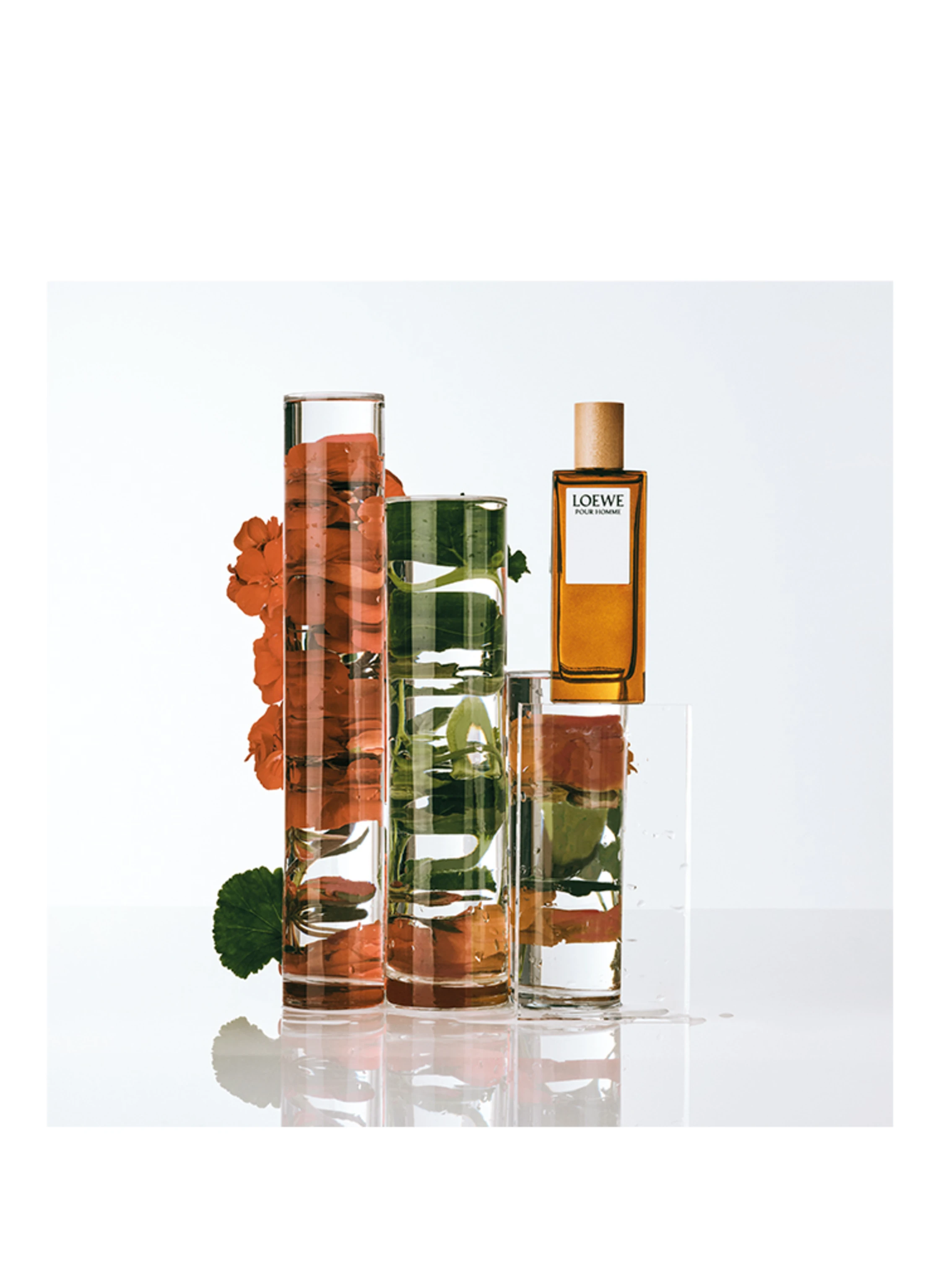 LOEWE POUR HOMME