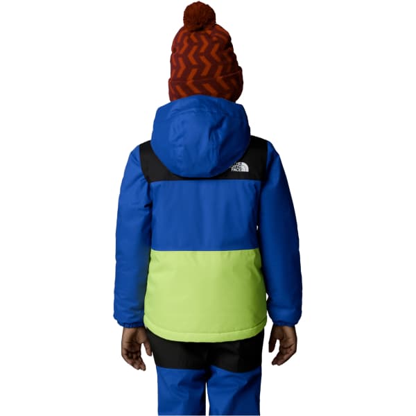 Veste de ski THE NORTH FACE KID FREEDOM INSULATED JACKET TNF BLUE
